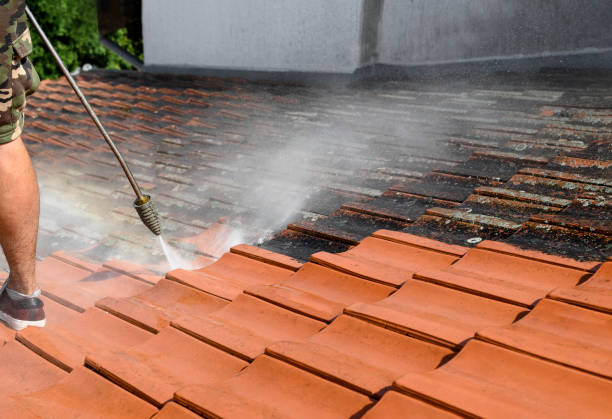 Best Roof Power Washing Services  in Three Way, TN