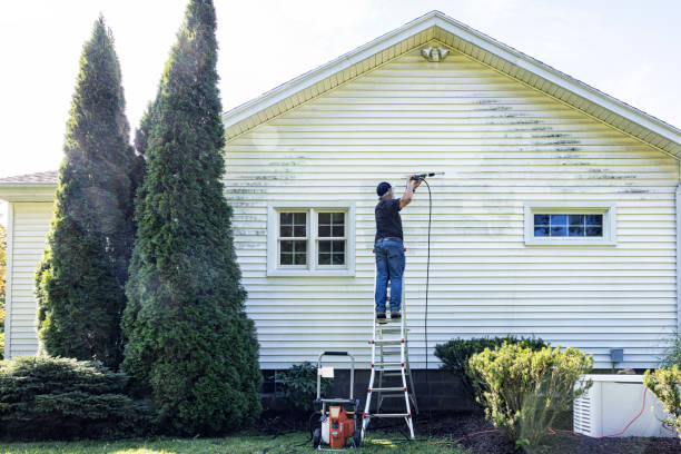 Best Deck Cleaning Services  in Three Way, TN