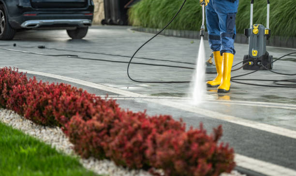 Best Local Pressure Washing Services  in Three Way, TN